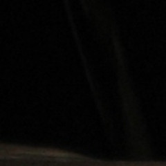 r5555n`s avatar