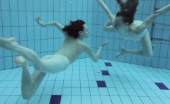 Two hot hairy beauties underwater