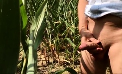 Summer, Sun, Corn & Wanking & Piss