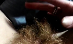 Hairy Redhead