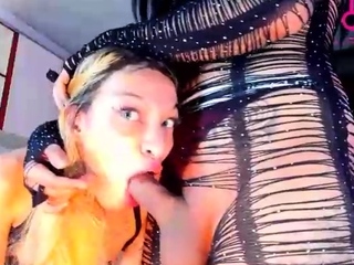 Shemale tranny gets blowjob before sucking