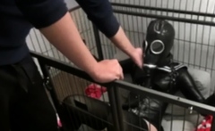 Caged Asian breath playing