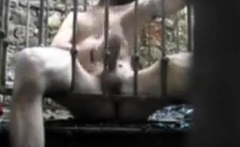 Homeless Big-cock Amateur Masturbating